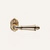 Aisha Lever on long backplate - Gold Plated, Lever Latch (plain)